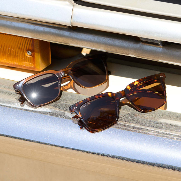group shot of diff eyewear billie sunglasses in whiskey and espresso tortoise