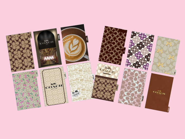 Brown Coach | Monthly Divider | Personal Wide | Set of 12