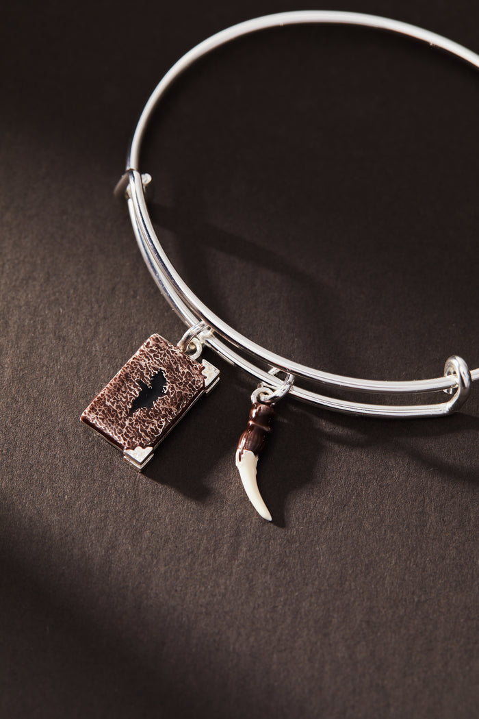 Harry Potter™ Diary and Basilisk Fang Bangle