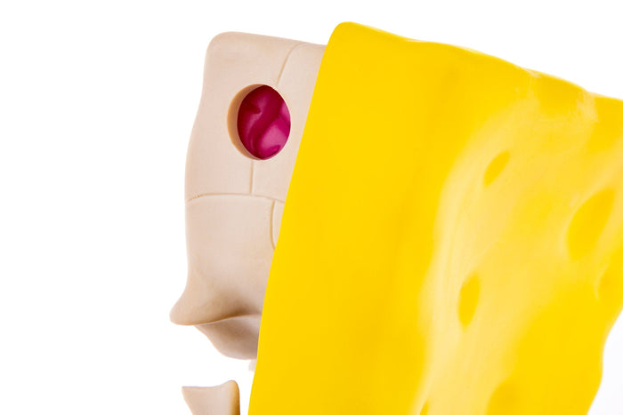 Spongebob Squarepants Dissected Vinyl Figure Exclusive