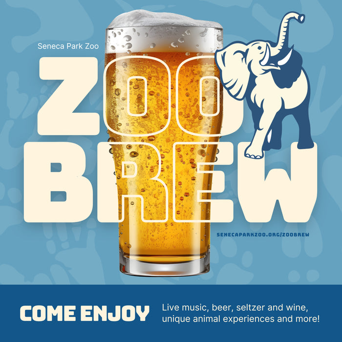 ZooBrew | June
