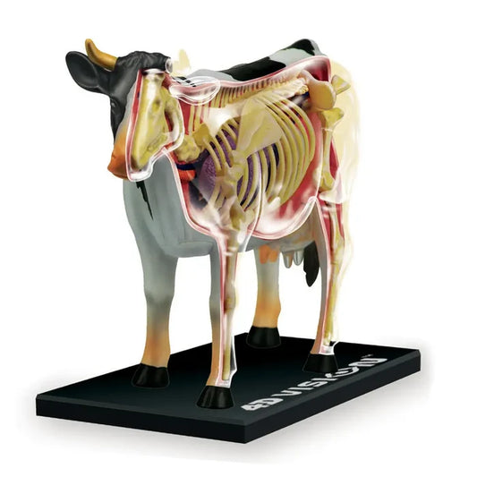 4D Cow