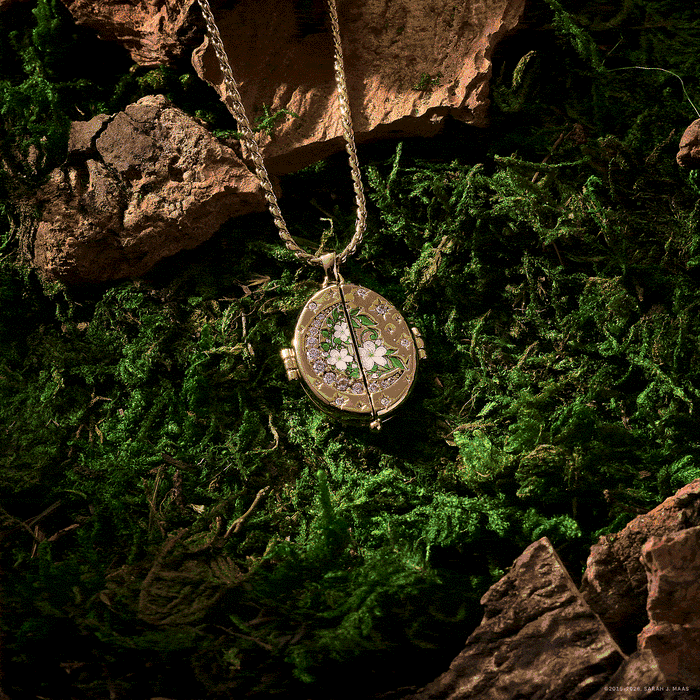 A Court of Thorns and Roses "There You Are" Locket Necklace