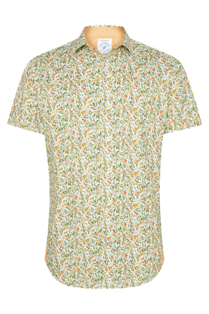 A Fish Named Fred 31.053 Short Sleeve Men's Shirt Citrus - Light Green - Dotique