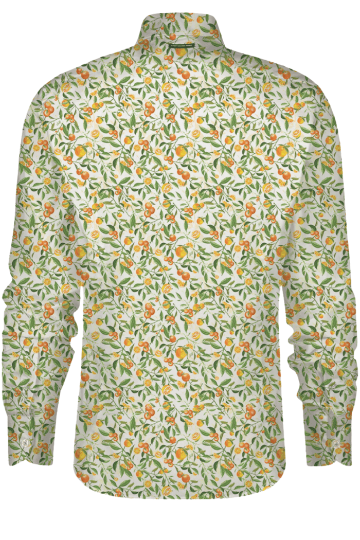 A Fish Named Fred Men’s Shirt Light Green Citrus 31.003