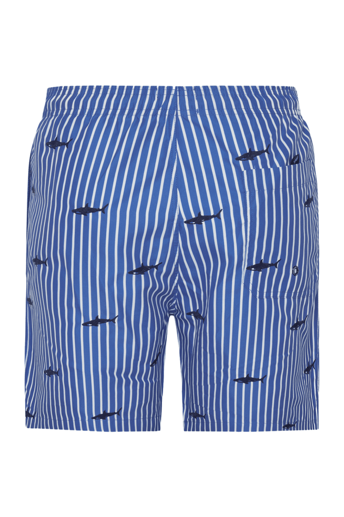 A Fish Named Fred Men's Swimshort Shark - Navy 31.251 - Dotique