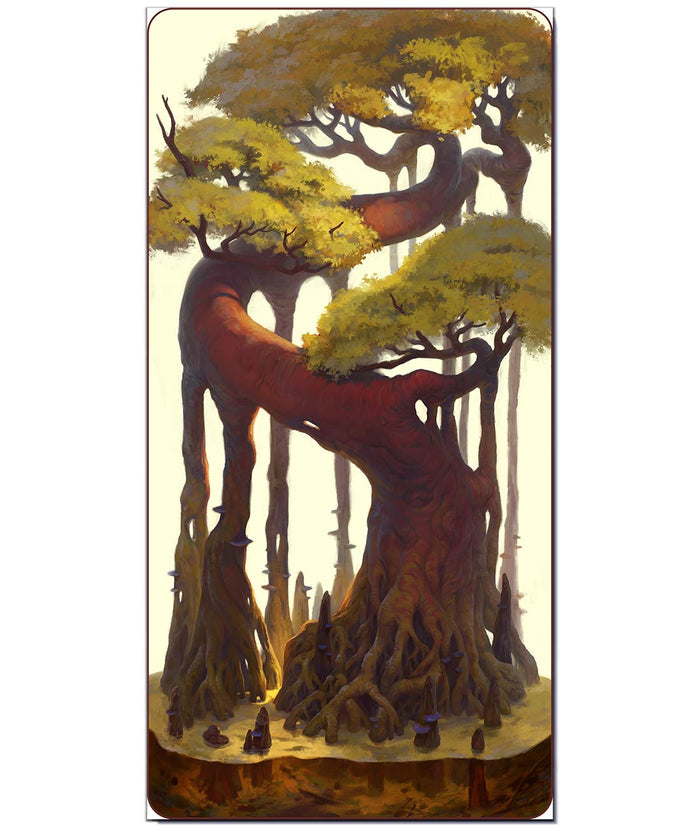 Alligator Cypress - CONVENTIONAL Fine Art Print - BoxWood Board Designs - 12" x 24" - -