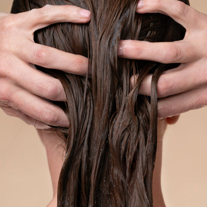 Close-up of hands running through wet hair after applying KITSCH Smoothing Castor Oil Conditioner