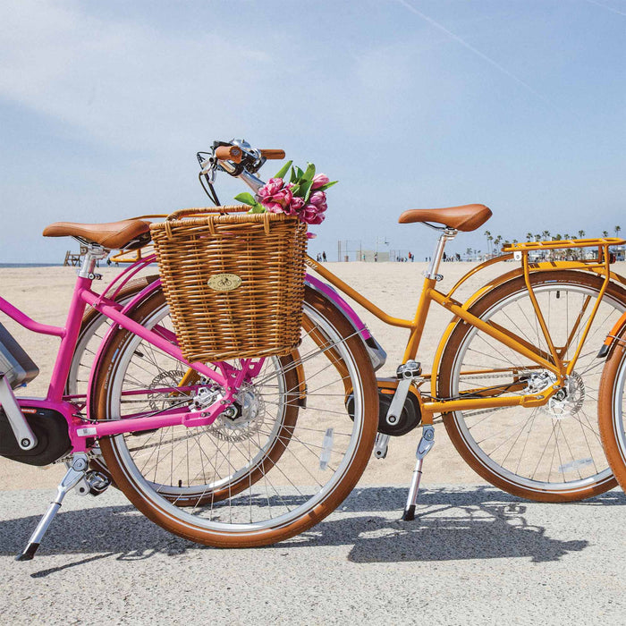 Bluejay Premiere Edition e-bikes at beach
