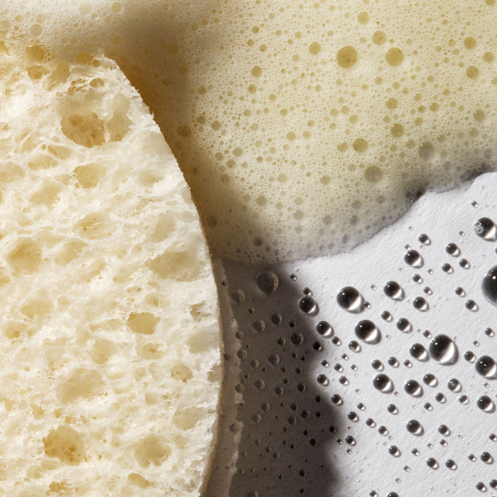 Close up of sponge and lather on a white background