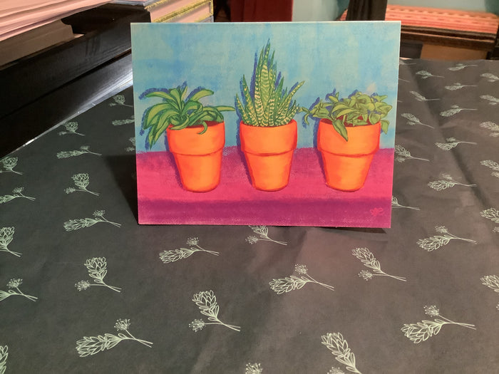3 Succulents / Blank / Turquoise, Green, Terracotta, Purple