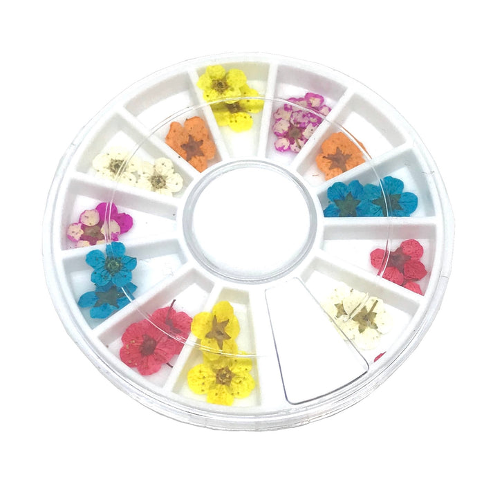 Embellishments - Dried Flowers