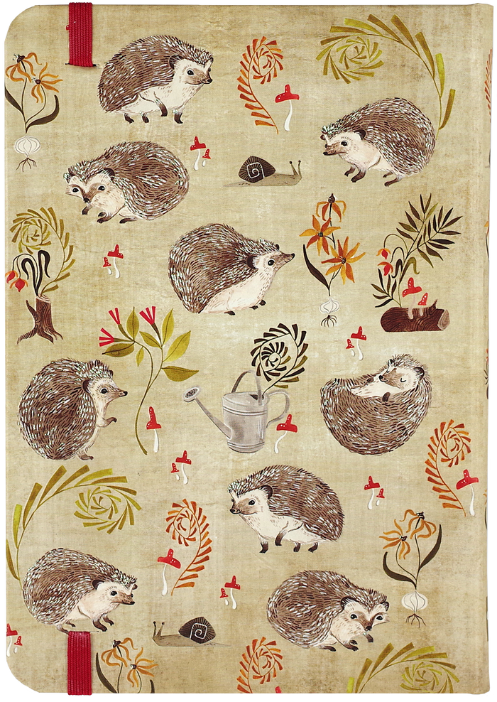 Hedgehogs Journal