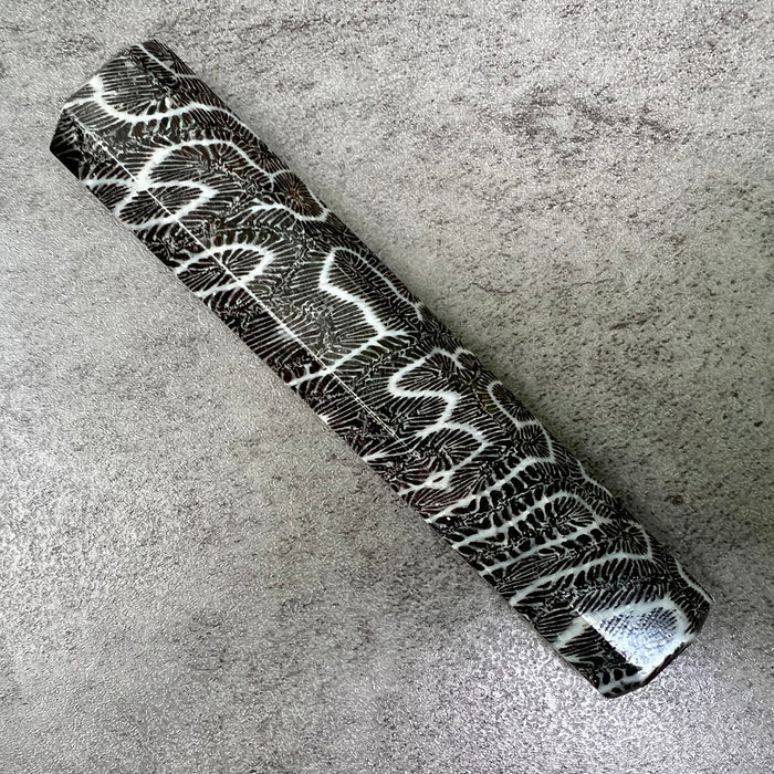 Custom Japanese Knife handle (wa handle) for 240mm : Fossilized coral