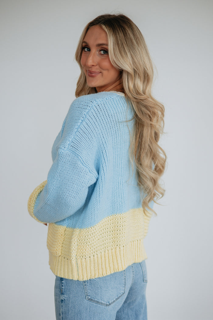 Leesa Colorblock Cardigan
