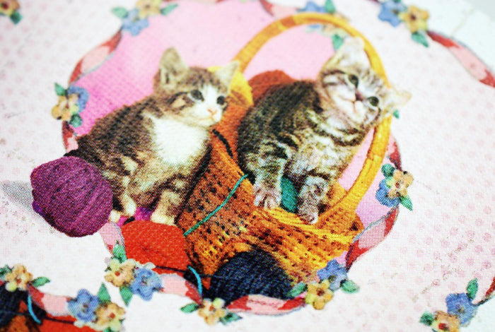 Madison Kittens Playing Cards by Ellusionist