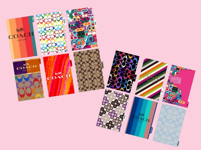 Multi Color Coach | Monthly Divider | Personal Wide | Set of 12