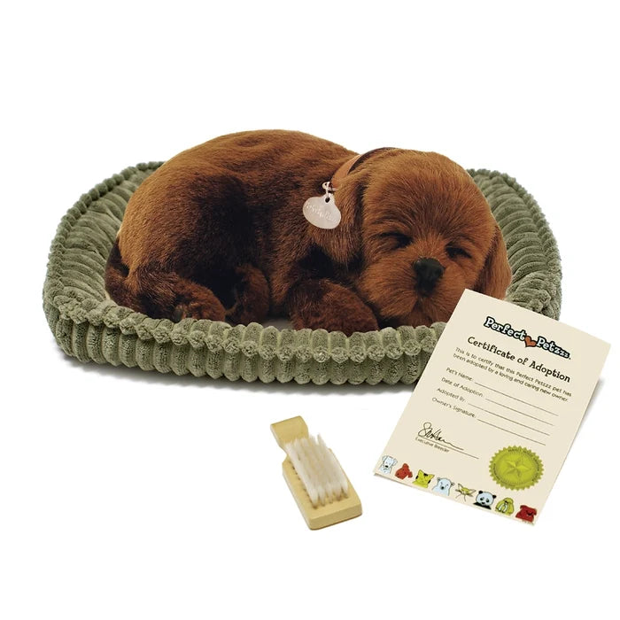 Perfect Petzzz Chocolate Lab