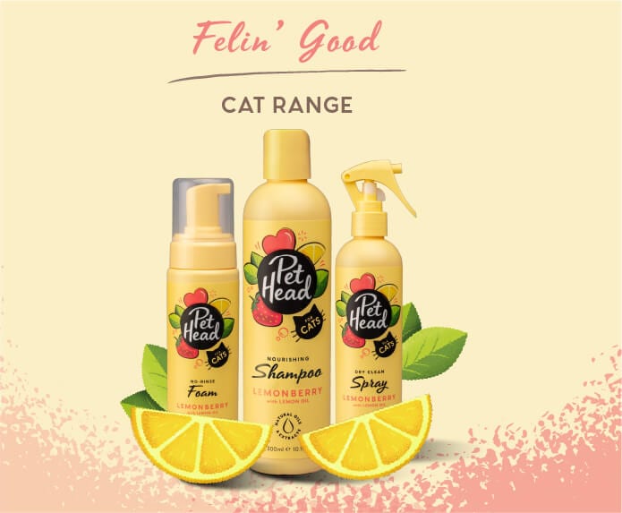 Pet Head Pet Head Felin' Good Cat Shampoo 300ml