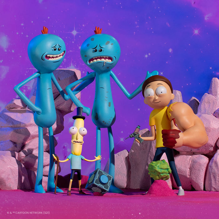 Rick and Morty Exclusive Deluxe Figure Set (Series 2)