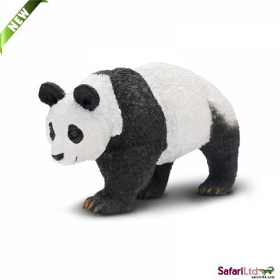 Safari Wild Panda Bear