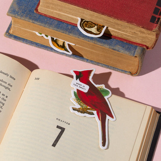 The Salty Birds Magnetic Bookmark Set by Brass Monkey features a red cardinal-shaped bookmark with a “What is this stuff?” speech bubble, sitting in an open book as bird-shaped bookmarks peek from two nearby closed books on a pale pink surface.