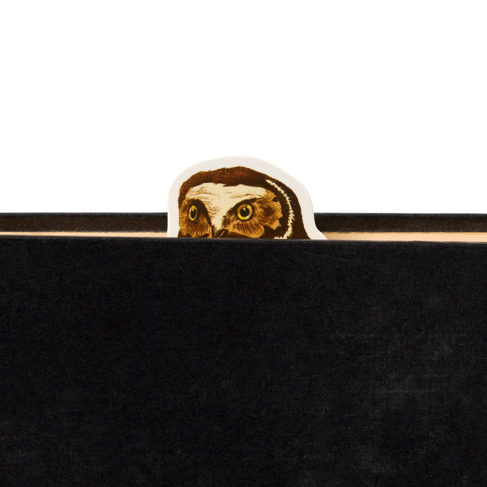 The Salty Birds Magnetic Bookmark Set by Brass Monkey features quirky bird illustrations peeking over your pages—a fun, magnetic way for any reader to mark their place.