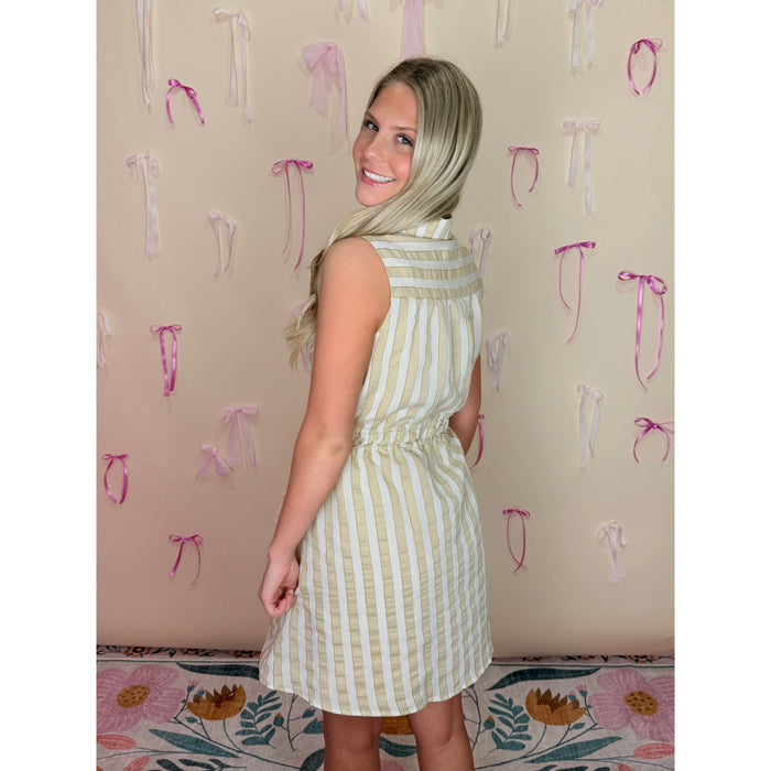 Sarah Shirt Dress