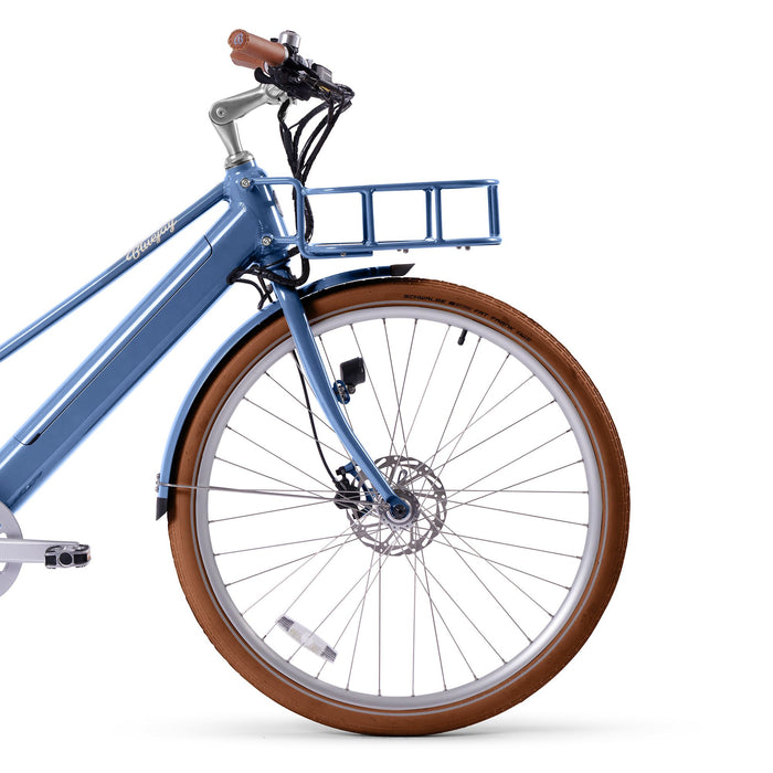 Schwalbe Fat Frank Balloon Tires