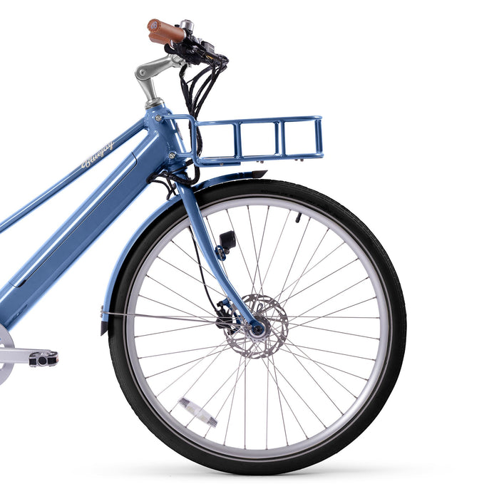 Schwalbe Fat Frank Balloon Tires