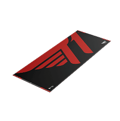 T1