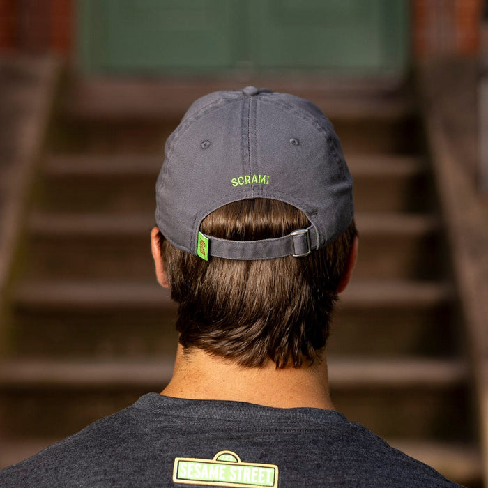 RSVLTS Sesame Street Hat Sesame Street "Scram!" – Dad Hat Sesame Street "Scram!" – Dad Hat