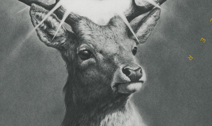 The Killing of a Sacred Deer Poster