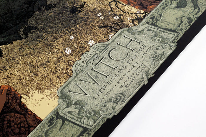The Witch Poster