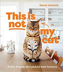 This is not my Cat