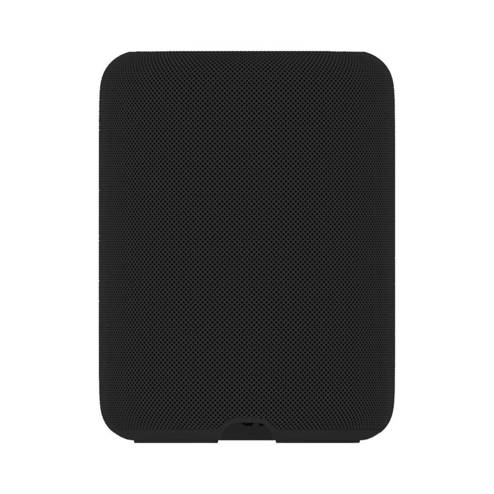 WiiM Sound Lite Wireless Smart Speaker with WiiM NorStone Floor Stand (Single) - Black Black
