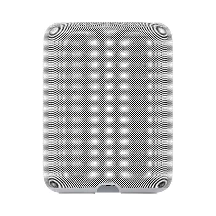 WiiM Sound Lite Wireless Smart Speaker with WiiM NorStone Wall Mount (Single) - White White