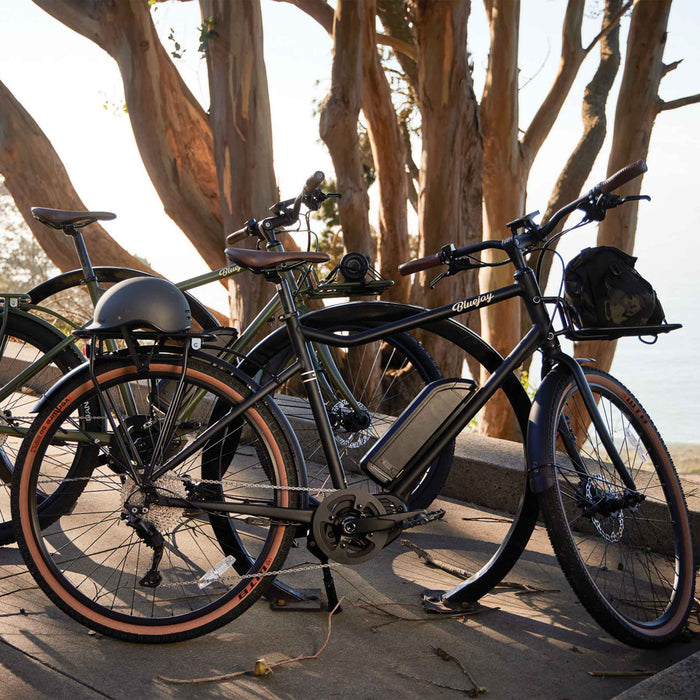 Bluejay Sport Edition e-bikes