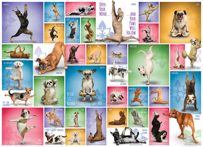 Yoga Dogs 1000