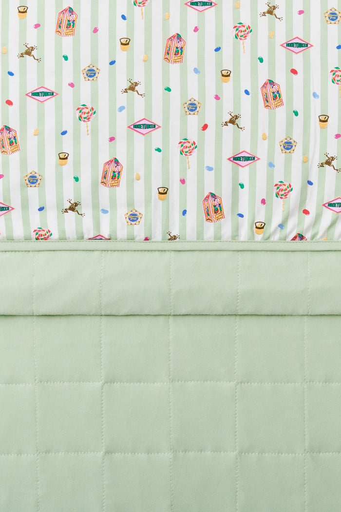 Green and white striped youth blanket with colorful Harry Potter pattern print with plain green fabric at the back